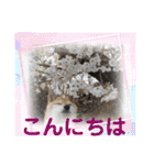 ずん太のスタンプの巻1（個別スタンプ：3）