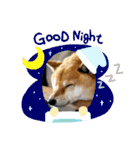ずん太のスタンプの巻1（個別スタンプ：7）