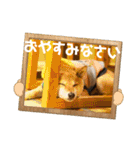 ずん太のスタンプの巻1（個別スタンプ：8）