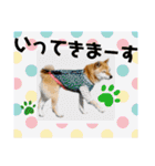 ずん太のスタンプの巻1（個別スタンプ：10）