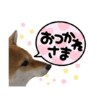 ずん太のスタンプの巻1（個別スタンプ：21）