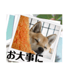 ずん太のスタンプの巻1（個別スタンプ：26）