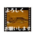 ずん太のスタンプの巻1（個別スタンプ：33）