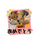 ずん太のスタンプの巻1（個別スタンプ：34）