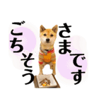 ずん太のスタンプの巻1（個別スタンプ：36）