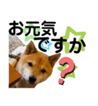 ずん太のスタンプの巻1（個別スタンプ：38）