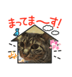 土田毛（個別スタンプ：8）