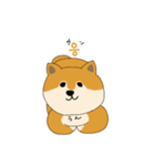 韓国語を話す柴犬（個別スタンプ：4）