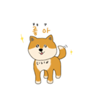 韓国語を話す柴犬（個別スタンプ：5）