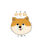 韓国語を話す柴犬（個別スタンプ：7）