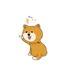 韓国語を話す柴犬（個別スタンプ：9）