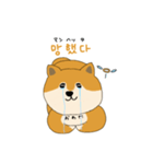 韓国語を話す柴犬（個別スタンプ：10）