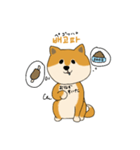 韓国語を話す柴犬（個別スタンプ：11）