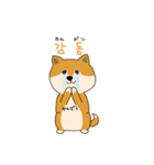 韓国語を話す柴犬（個別スタンプ：12）
