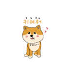 韓国語を話す柴犬（個別スタンプ：13）