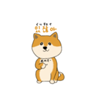 韓国語を話す柴犬（個別スタンプ：14）