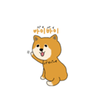 韓国語を話す柴犬（個別スタンプ：15）