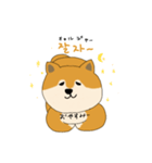 韓国語を話す柴犬（個別スタンプ：16）