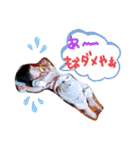 うちのチビ怪獣♥（個別スタンプ：34）