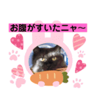 黒猫マリースタンプ（個別スタンプ：2）