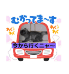 黒猫マリースタンプ（個別スタンプ：4）