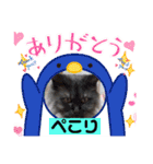 黒猫マリースタンプ（個別スタンプ：5）