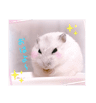 hamsterねぎ（個別スタンプ：2）