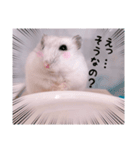 hamsterねぎ（個別スタンプ：3）