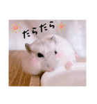 hamsterねぎ（個別スタンプ：4）