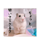 hamsterねぎ（個別スタンプ：6）