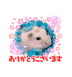 hamsterねぎ（個別スタンプ：8）