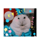 hamsterねぎ（個別スタンプ：12）