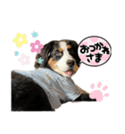 リズすたんぷ〜（個別スタンプ：3）