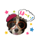 リズすたんぷ〜（個別スタンプ：4）