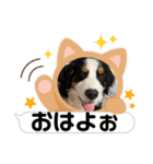 リズすたんぷ〜（個別スタンプ：8）