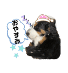 リズすたんぷ〜（個別スタンプ：10）