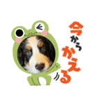 リズすたんぷ〜（個別スタンプ：20）