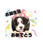 リズすたんぷ〜（個別スタンプ：28）