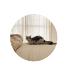 文蔵ねこ（個別スタンプ：15）