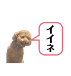 丼2022（個別スタンプ：8）