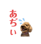 丼2022（個別スタンプ：18）