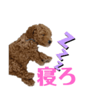 丼2022（個別スタンプ：20）