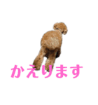 丼2022（個別スタンプ：23）