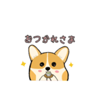 コーギー犬  よくつかう言葉（個別スタンプ：23）