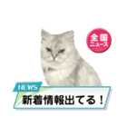 日本の猫さんだよ（個別スタンプ：32）