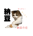 あざといめーたん（個別スタンプ：11）