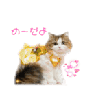 あざといめーたん（個別スタンプ：13）