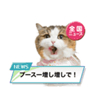 あざといめーたん（個別スタンプ：32）