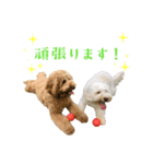 コロとリュウのスタンプ（個別スタンプ：4）