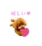 コロとリュウのスタンプ（個別スタンプ：5）